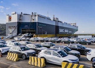 Porto de Paranaguá recebe mais de 5 mil carros elétricos em uma única operação