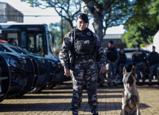 Operação Sinergia leva reforço operacional e ações estratégicas de segurança a Sarandi e região