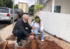 Prefeitura de Jandaia do Sul inicia nova etapa de plantio de árvores