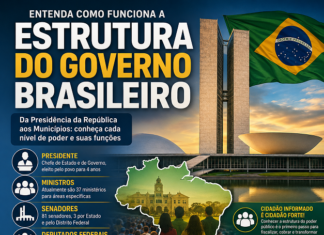 COMO FUNCIONA A ESTRUTURA DO GOVERNO BRASILEIRO E POR QUE O CIDADÃO PRECISA CONHECÊ-LA