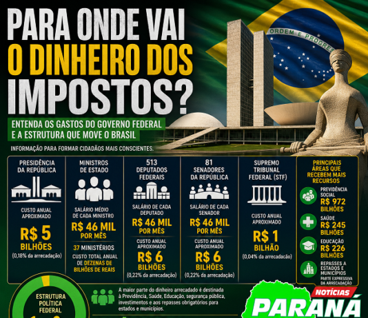 GASTOS DO GOVERNO: PARA ONDE VAI O DINHEIRO DOS IMPOSTOS? ENTENDER A ESTRUTURA DO ESTADO É FUNDAMENTAL PARA O EXERCÍCIO DA CIDADANIA