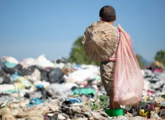 Mais de 4,3 mil crianças foram tiradas do trabalho infantil em 2025