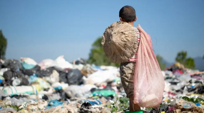 Mais de 4,3 mil crianças foram tiradas do trabalho infantil em 2025