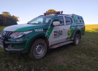 PMPR utiliza imagens de satélite e identifica desmatamento ilegal na Lapa