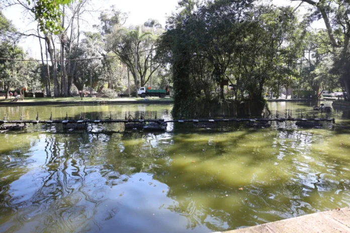 0cf-PASSEIO-FRANKLIN-1024x682