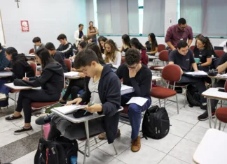 Educação financeira pode ser incluída no currículo escolar