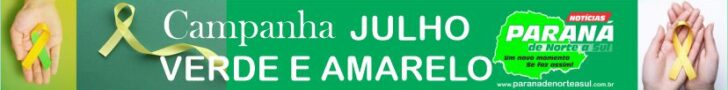 BANDEIRA DE CAMPANHA