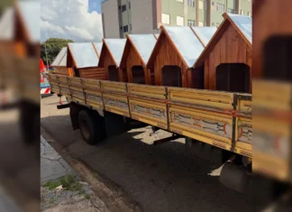 ONG recebe doação de casinhas para cães comunitários em Jandaia do Sul