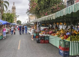 Curitiba tem dia de sol e feiras livres em vários bairros neste domingo