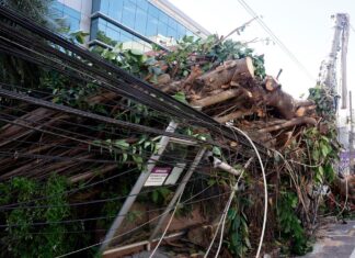 Mais de 200 mil continuam sem energia no Rio após vendaval