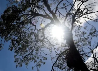 Semana começa com sol no Paraná, mas tempo muda nos próximos dias