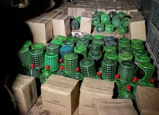Mais de 14 mil litros de vinho são apreendidos em Campo Largo, na Grande Curitiba