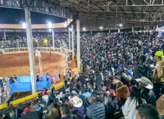 Agritech Rodeio Show bate recorde de público no sábado com Rodeio Profissional em Jandaia do Sul