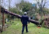 Sul, Sudeste e Centro-Oeste têm alerta para tempestades e vendavais