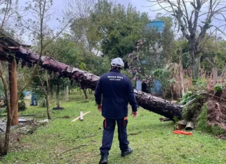 Sul, Sudeste e Centro-Oeste têm alerta para tempestades e vendavais