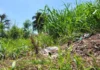 Proprietário é multado em mais de R$ 25 mil por falta de limpeza em terreno em Ponta Grossa