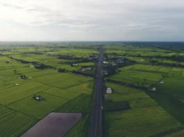 Vereador é apontado como líder de grupo que vendia loteamentos clandestinos na Grande Curitiba