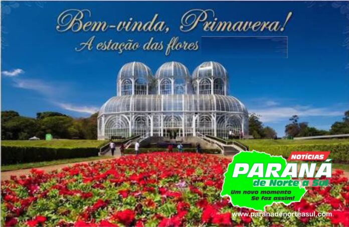 capa da notícia