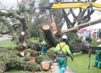 Chuva em Curitiba atinge 60% da média do mês em poucas horas