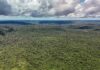 Devastação na Amazônia pode quebrar maior “máquina de chuva” do mundo
