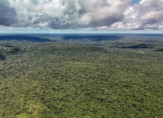Devastação na Amazônia pode quebrar maior “máquina de chuva” do mundo