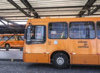 Curitiba terá ônibus grátis no domingo de primeiro turno das eleições
